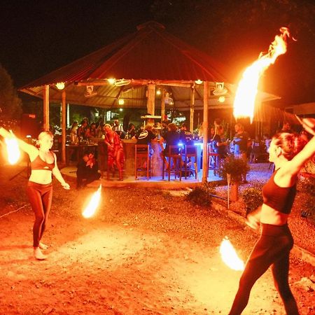 Escape Divers - Jungle Hostel And Dive Centre Тау Экстерьер фото
